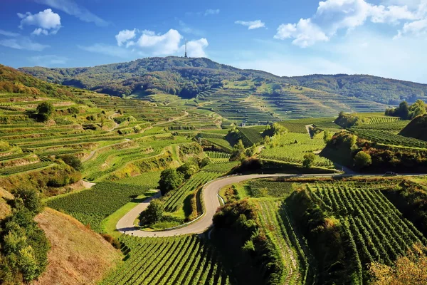 Kaiserstuhl Είναι Μια Αμπελουργική Περιοχή Στη Γερμανία — Φωτογραφία Αρχείου