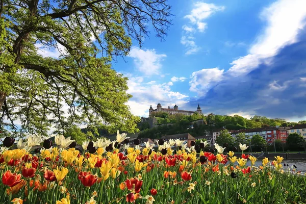 Wuerzburg Stad Bayern Tyskland Europa — Stockfoto