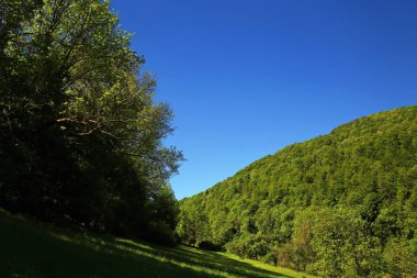 Çerkes tarihi cazibe ile Almanya'da bir şehir olduğunu