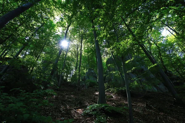 Bad Urach Είναι Μια Πόλη Στη Γερμανία Πολλά Ιστορικά Αξιοθέατα — Φωτογραφία Αρχείου