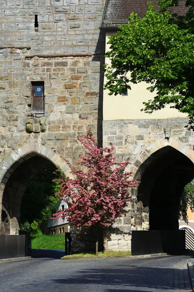 Neues Schloss Neustadt Der Aisch Ist Eine Stadt Deutschland Mit — Stockfoto