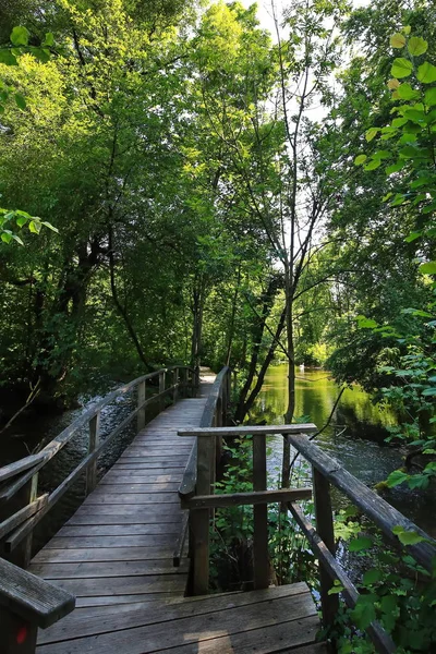 Steg Aus Holz Memmingen Місто Баварії Німеччині Багатьма Історичними Пам — стокове фото