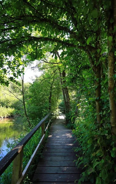 Holzsteg Memmingen Almanya Bayern Eyaletinde Yer Alan Bir Şehirdir — Stok fotoğraf