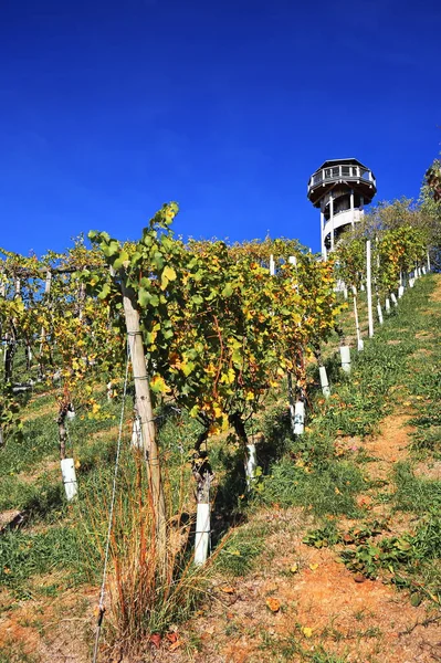 Seeparkturm Freiburg Miasto Niemczech Wieloma Historycznymi Atrakcjami — Zdjęcie stockowe