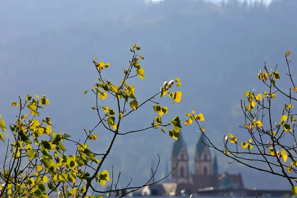 Herz Jesu Kirche Fribourg Est Une Ville Allemagne Avec Nombreuses — Photo