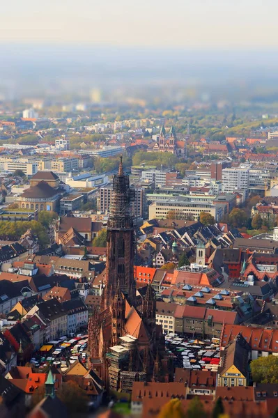 Μούνστερ Φράιμπουργκ Είναι Μια Πόλη Στη Γερμανία Πολλά Ιστορικά Αξιοθέατα — Φωτογραφία Αρχείου