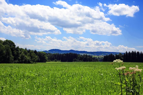 Bad Groenenbach City Bavaria Germany Many Wonderful Landscapes — Stock Photo, Image