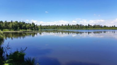 Riedsee in Bad Wurzach, Almanya 'da Bavyera eyaletinde yer alan bir şehirdir.