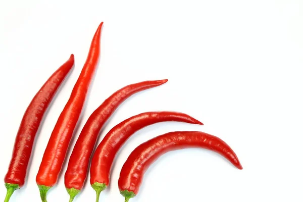 Red Chili Białe Tło — Zdjęcie stockowe