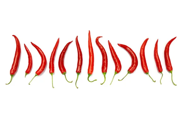 Red Chili Białe Tło — Zdjęcie stockowe