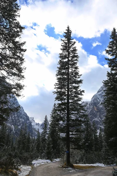 Fischleinbachtal Place Dolomites — Stock Photo, Image