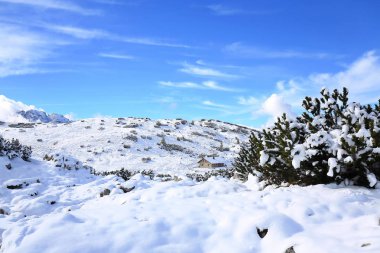 Dolomites olduğunu bir dağ İtalya