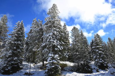 Dolomites olduğunu bir dağ İtalya