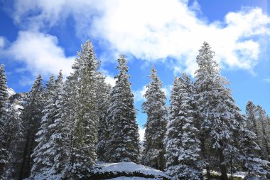 Dolomites olduğunu bir dağ İtalya