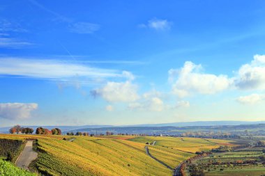 Volkach, Almanya, Bavyera ve Franconia 'da iyi bilinen bir şarap yetiştirme bölgesidir.