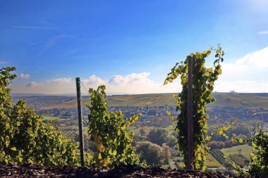 Volkach, Almanya, Bavyera ve Franconia 'da iyi bilinen bir şarap yetiştirme bölgesidir.