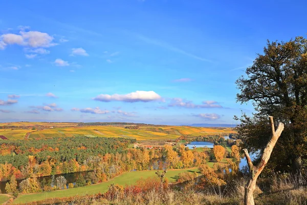 Volkach Est Une Région Viticole Bien Connue Allemagne Bavière Franconie — Photo