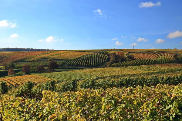 Volkach Ist Ein Bekanntes Weinanbaugebiet Deutschland Bayern Franken — Stockfoto