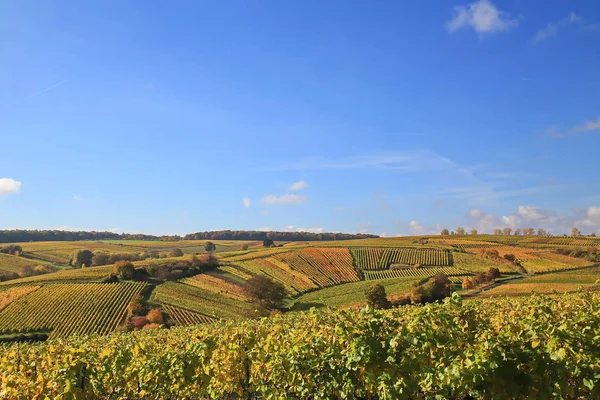 Volkach Známá Vinařská Oblast Německu Bavorsku Franku — Stock fotografie