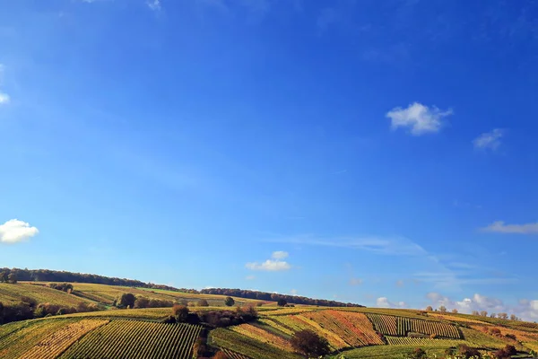 Volkach Una Regione Vinicola Ben Nota Germania Baviera Franconia — Foto Stock