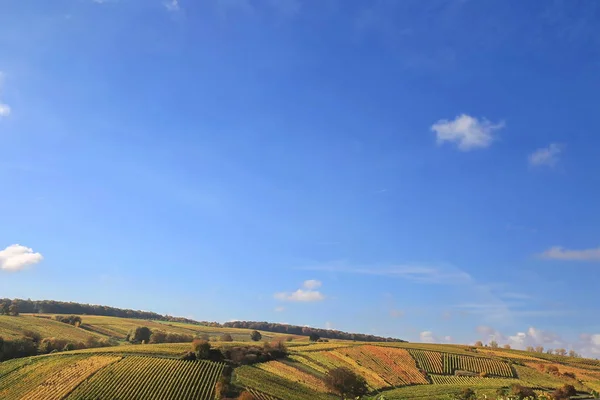 Volkach Well Known Wine Growing Region Germany Bavaria Franconia — Stock Photo, Image