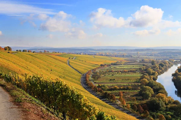 Volkach Een Bekende Wijnbouwregio Duitsland Beieren Franken — Stockfoto