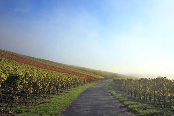 Volkach Una Regione Vinicola Ben Nota Germania Baviera Franconia — Foto Stock