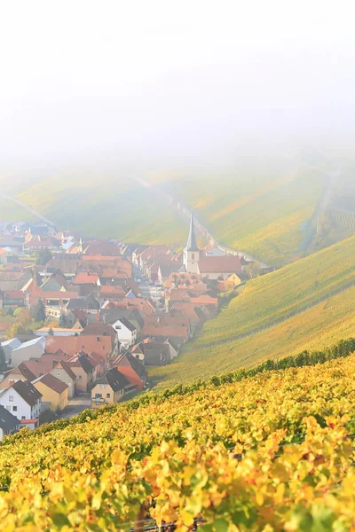 Volkach Ist Ein Bekanntes Weinanbaugebiet Deutschland Bayern Franken — Stockfoto