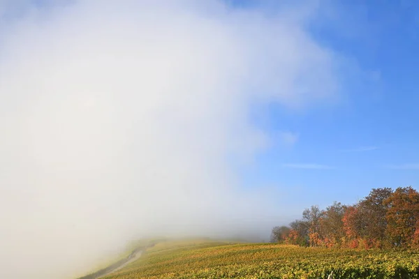 Volkach Ett Välkänt Vinodlingsområde Tyskland Bayern Franken — Stockfoto