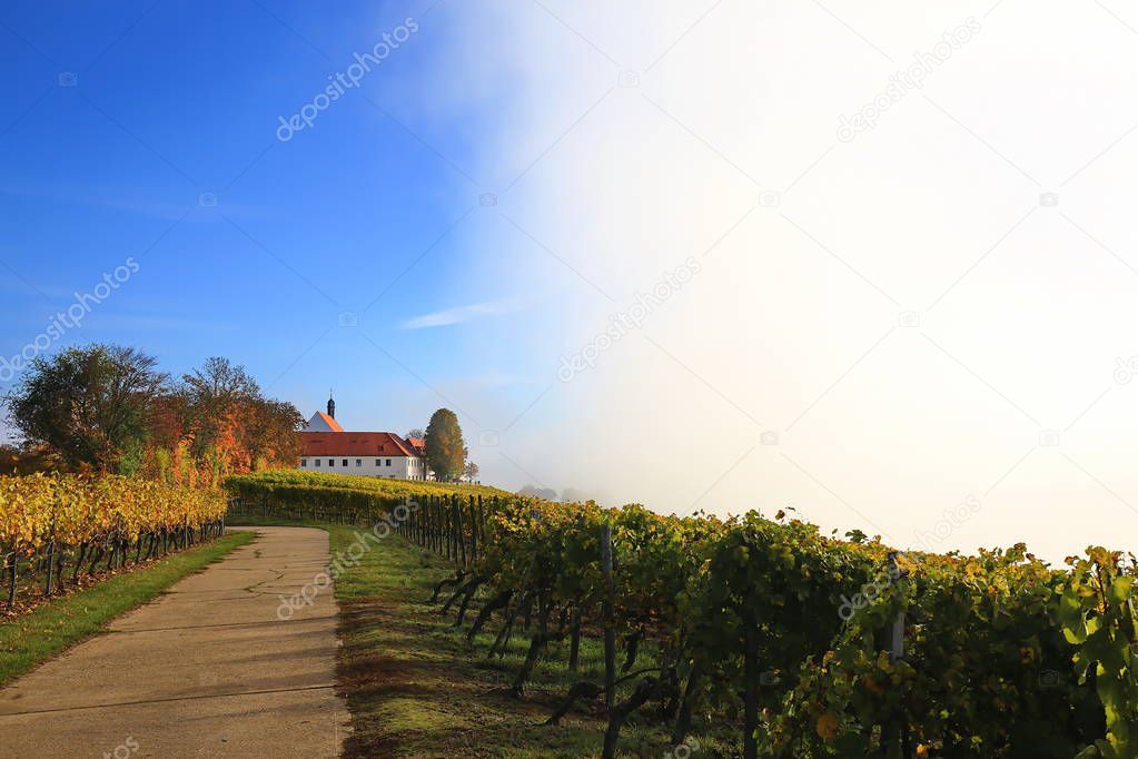 volkach is a well-known wine-growing region in Germany, Bavaria, Franconia