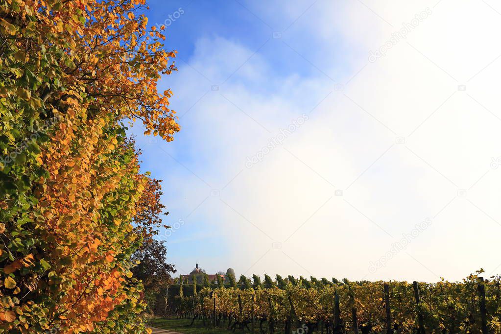 volkach is a well-known wine-growing region in Germany, Bavaria, Franconia
