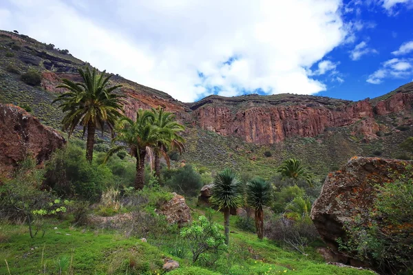 Bandama Crater är en slocknad vulkan på gran canaria — Stockfoto