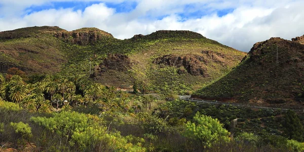 Fataga är en kommun på ön Gran Canaria — Stockfoto