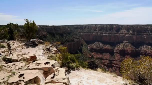 Gran Cañón Vista Lejana — Vídeo de stock