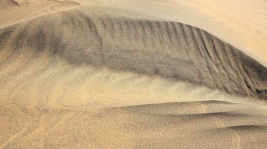 Maspalomlar Gran Canaria 'daki kum tepeleri