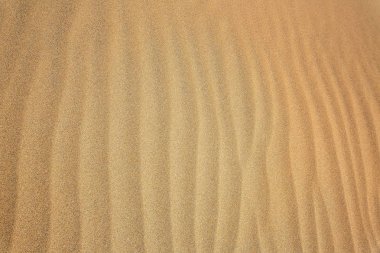 Playa del Ingles Büyük Kanarya 'da