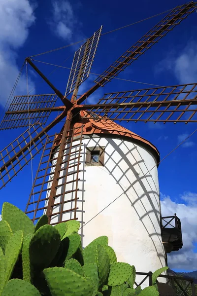 Szélmalom a Gran Canaria-n — Stock Fotó