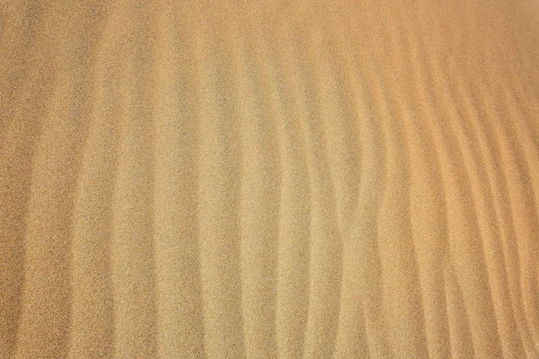 Playa del Ingles Büyük Kanarya 'da