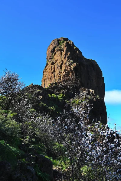 Roque Bentayga μια σύνοδος κορυφής για το Gran Canaria — Φωτογραφία Αρχείου