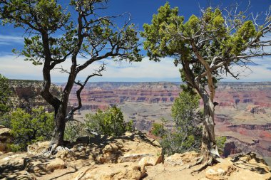 Arizona 'daki Büyük Kanyon