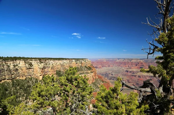 Grand Canyon in arizona — Stockfoto