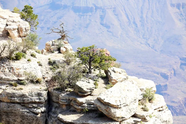 Gran Cañón en Arizona — Foto de Stock