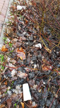 Yol kenarında bardak ve plastik çöp