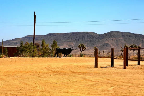 Pioneertown är en stad i Kalifornien — Stockfoto