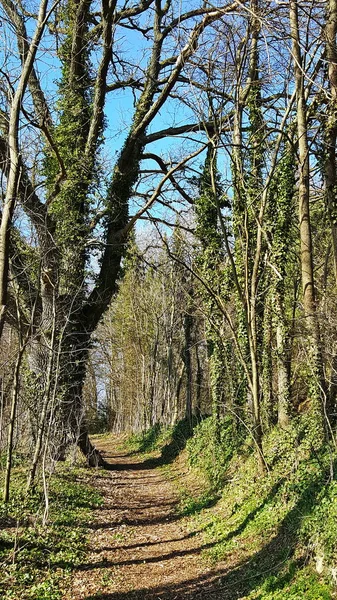 Památky Krumbach (Švábsko) — Stock fotografie