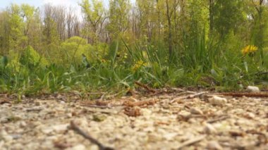 İller, Bavyera'da bir nehirdir.