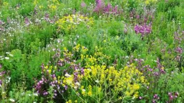 Çiçek Çayırı drone uçuşu