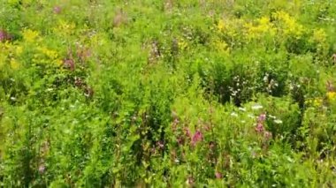 Çiçek Çayırı drone uçuşu