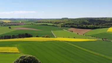  mavi gökyüzünde ayaklı ağaç