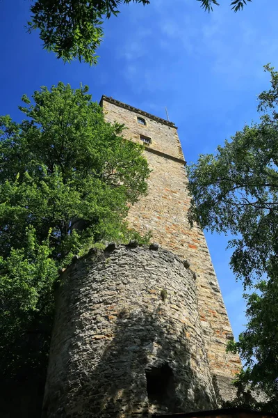 Burg Guttenberg is a castle in Germany — Stock Photo, Image